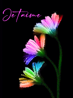 Gif animé je t'aime marguerites
